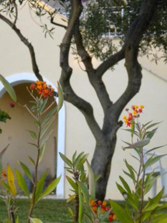 Natalia Apartment B With Panoramic Sea Views Of Agios Gordios Bay Bagian luar foto